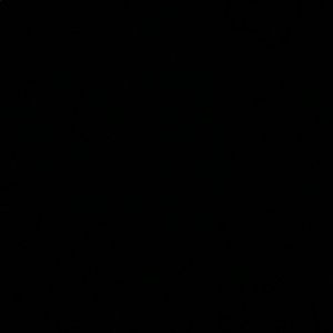 Meet your Posher, Silvia